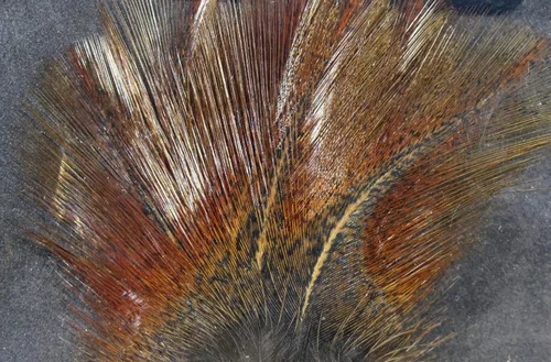 Vista 8 de Hareline Fly Tying Coq De Leon Feathers for Dry Fly Tails, Nymphs, and Euro Patterns Barrado moteado Aconchado