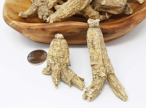 Vista 3 de DOL - Raíz de ginseng cultivada a mano de Wisconsin Americana Seleccionada a Mano