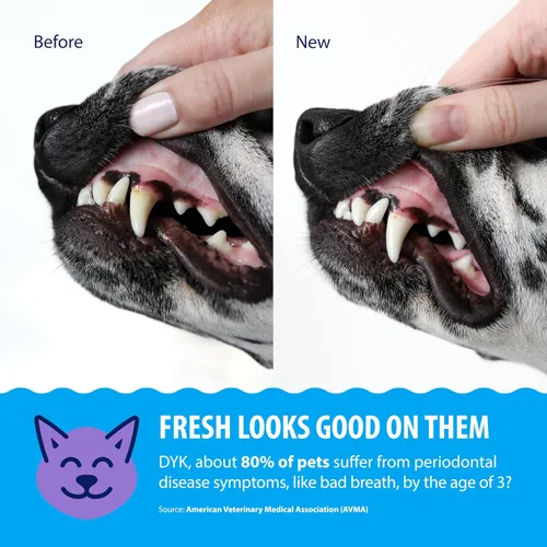 Vista 4 de Dental Fresh Aditivo de agua para perros y gatos, dientes limpios y aliento fresco, cuidado bucal diario de mascotas, solo añádelo al agua, sin