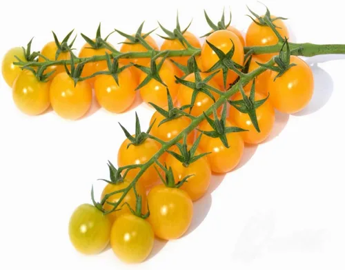 Vista 3 de Semillas Golden Cherry Tomate Indeterminado No GMO Vegetal para Plantar
