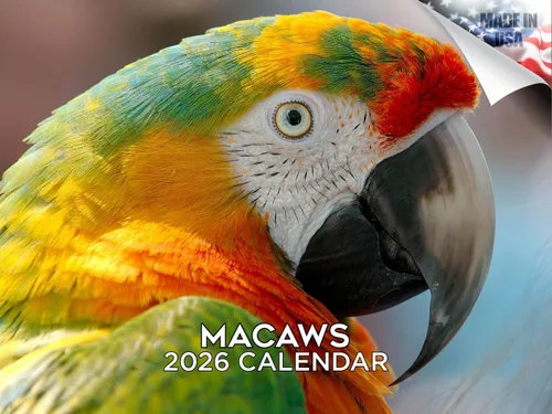 Vista 94 de Calendario de grises africanos 2025 2026 – Planificador mensual de pared de aves africanas – 12 x 18 pulgadas (abierto), calendario de pared