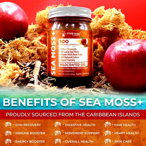 Vista 6 de Gel de musgo de mar irlandés crudo - Superalimento de musgo marino recolectado en la naturaleza - Sabor a manzana y canela, rico en vitaminas