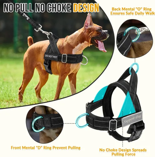 Vista 2 de Lukovee Juego de arnés y correa para perro sin tirones, chaleco acolchado suave ajustable con clip frontal para un fácil control, arnés reflectante