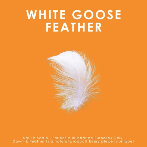 Vista 4 de Canadian Down & Feather Co. - Almohada de plumas de ganso blanco de soporte medio, tamaño estándar, carcasa de 255 hilos, 100% algodón, relleno