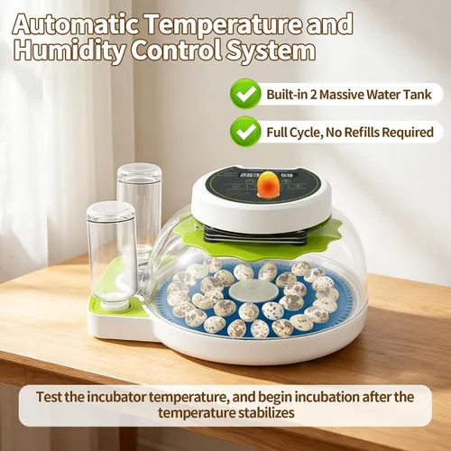 Vista 2 de Incubadora de huevos de codorniz para incubar 33 huevos de codorniz con girador automático y control de humedad, criador de codornices pequeñas