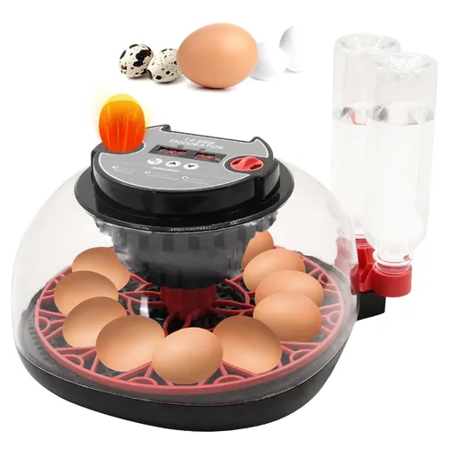 Vista 8 de Incubadora de 12 huevos con pantalla de humedad, incubadora de huevos con giro automático de huevos y recarga automática de botella de agua