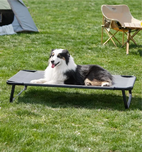 Vista 12 de MADE 4 PETS Cama elevada y refrescante para perros pequeños y medianos: cuna elevada para mascotas con malla transpirable, patas antideslizantes