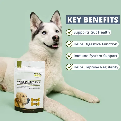 Vista 2 de Paw Choice Probióticos para perros con prebióticos – Masticables diarios para la salud intestinal, la digestión, la regularidad y el apoyo
