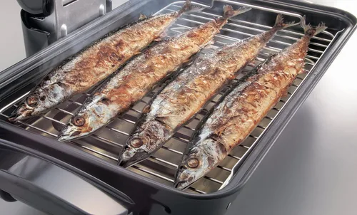 Vista 2 de Zojirushi America EF-VPC40 Fish Roaster, Metallic Gray 11.63 x 19.13 x 7.75 inches
