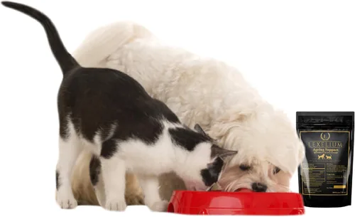 Vista 7 de Suplemento de enfermería y vitaminas para perros y gatos lactantes, suplemento de enfermería, lactancia y recuperación para criadores, desarrollo