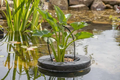 Vista 6 de Pond H2o Cambiador de polvo de lodo, tratamiento de agua de estanque de 6000 galones, paquete económico de 2 Agua clara con ingredientes naturales