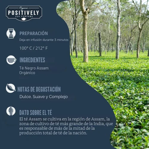 Vista 2 de Bolsas de hojas sueltas para té. Orgánicas por USDA. Positively Tea LLC.