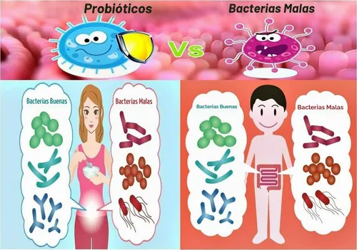 Vista 5 de NOVA Probiotics Multi-Strain Ultra Strength Plus+ 100 mil millones de probióticos por cápsula-30 VCaps