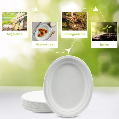 Vista 4 de three leaf Plato ovalado de bagazo de 12 x 10 pulgadas, 25 unidades, platos de bagazo desechables naturales y ecológicos, 100% biodegradables