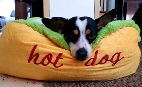 Vista 2 de Hotdog Design - Cama para perros pequeños, suave, extraíble y lavable