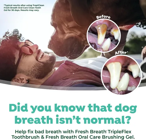 Vista 6 de TropiClean Fresh Breath TripleFlex Cepillo de dientes para perros grandes Uso con pasta de dientes o gel TropiClean Cepillo de dientes de 360