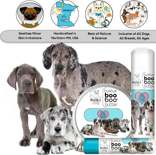 Vista 6 de The Blissful Dog 1 oz TIN Great Dane Booboo Butter