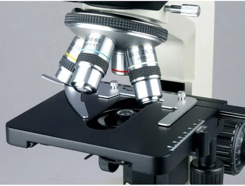 Vista 4 de AmScope Microscopio binocular compuesto B490, Oculares WF10x, Ampliación 40X-1000X, Brightfield, Iluminación halógena, Condensador Abbe, Etapa