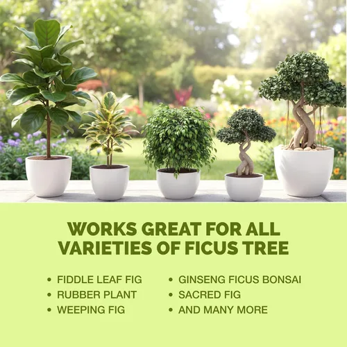 Vista 6 de Fertilizante Ficus Tree - Alimento líquido para plantas para un follaje exuberante, raíces más fuertes y un nuevo crecimiento saludable, 8 onzas