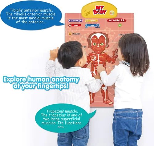 Vista 3 de BEST LEARNING i-Poster My Body - Juguete educativo interactivo para hablar de anatomía humana Aprende partes del cuerpo, órganos, músculos