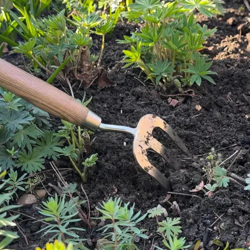 Vista 5 de Spear & Jackson Tenedor de malezas de mano de acero inoxidable, herramienta de jardinería duradera para deshierbe eficiente y aireación del suelo
