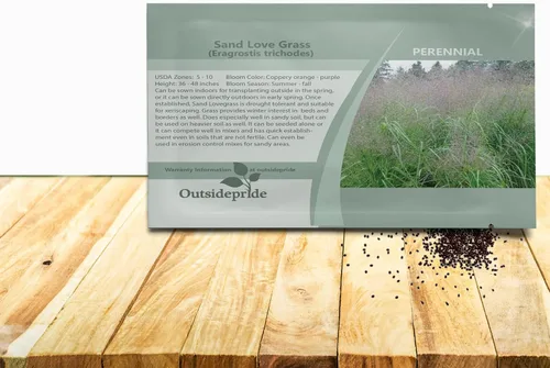 Vista 9 de Outsidepride 500 semillas perennes Eragrostis Elliotii Blue Eros Hierba ornamental de amor para siembra