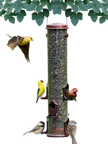 Vista 9 de Alimentador de tubo para pájaros, alimentador de tubo verde mamut de 6 puertos con tapa de metal, perchas y puertos, capacidad para 10 tazas