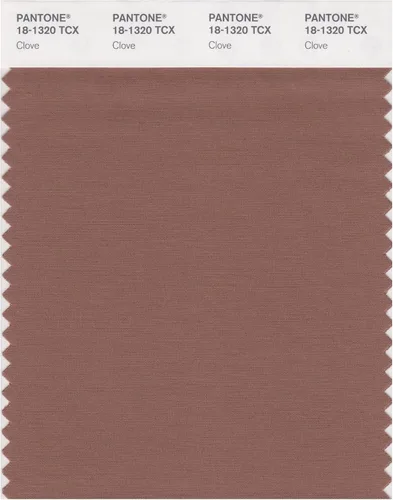 Vista 9 de PANTONE Tarjeta de muestra de color inteligente 18-1314X, bellota
