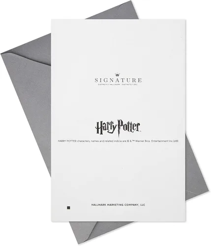 Vista 6 de Hallmark Tarjeta de cumpleaños de Harry Potter (cosas favoritas)