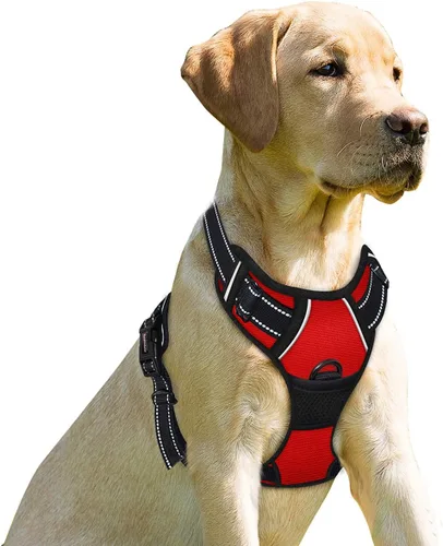 Vista 186 de BARKBAY - Arnés para perro sin tirones con clip frontal, material resistente y reflectante, asa de fácil control para pasear perros grandes