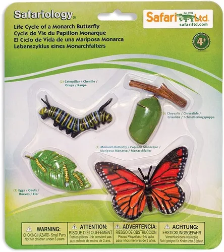 Vista 5 de Safari Ltd Safariología, el ciclo de vida de una abeja