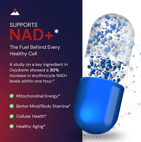 Vista 4 de Novex Biotech Oxydrene NAD+ Enhancer - Suplemento natural que promueve el metabolismo y el apoyo cardiovascular para hombres y mujeres (60 cápsulas)
