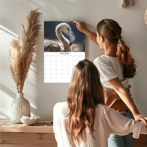 Vista 152 de Calendario de grises africanos 2025 2026 – Planificador mensual de pared de aves africanas – 12 x 18 pulgadas (abierto), calendario de pared