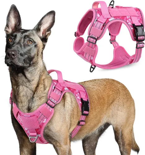 Vista 47 de rabbitgoo Arnés táctico para perros pequeños, chaleco de servicio militar sin tirones con asa y Molle, de fácil control para entrenar y caminar