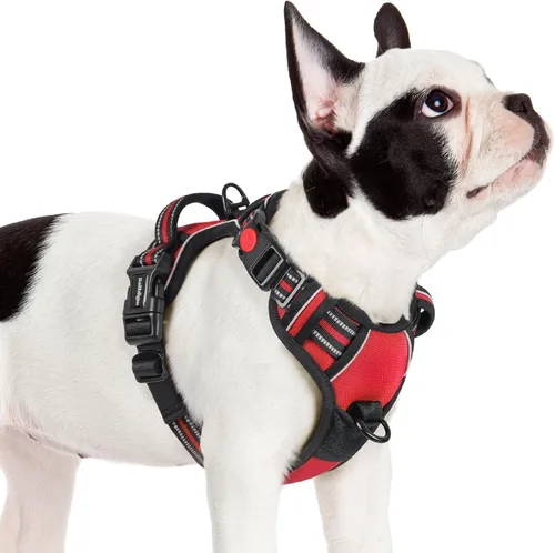 Vista 47 de Rabbitgoo - Arnés para perro de tamaño pequeño, arnés para mascotas sin tirones con 3 hebillas, chaleco acolchado suave ajustable con mango