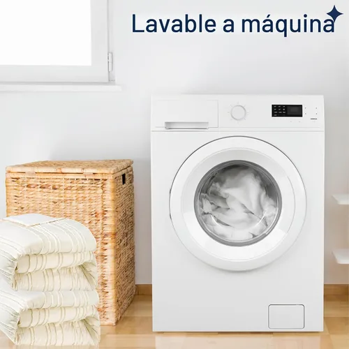 Vista 4 de Aeropostale Eloise - Juego de edredón de 2 piezas para dormitorio y funda a juego, individual, marfil