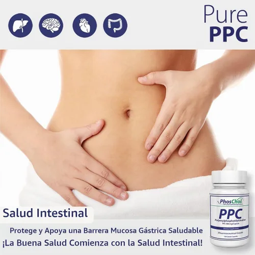 Vista 7 de Nutrasal PhosChol, 900mg - 30 cápsulas de gel