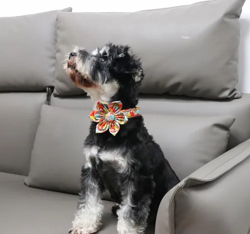 Vista 26 de Unique Style Paws Collar de perro de Halloween con lazo de algodón lindo pajarita para perros pequeños, medianos y grandes, vacaciones
