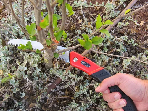Vista 6 de TABOR TOOLS Sierra plegable con hoja curvada de 8 pulgadas y mango de agarre resistente, sierra de mano para podar árboles, recortar ramas, acampar