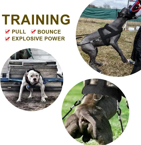 Vista 5 de Forestpaw Arnés de perro resistente sin tirones para entrenamiento, chaleco táctico con 3 anillos de metal, arnés acolchado suave para perros