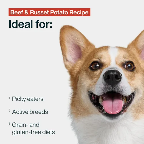 Vista 2 de JustFoodForDogs Comida Congelada Fresca para Perros, Comida Completa o Complemento, Receta de Carne de Res y Papa Russet de Grado Humano, 18 oz