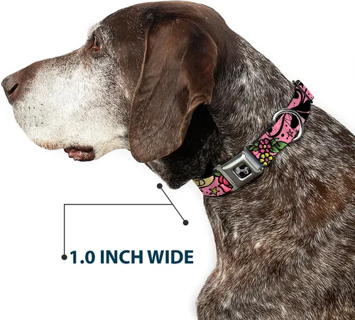 Vista 6 de Collar de perro hebilla de cinturón de seguridad mamá papá rosa 9 a 15 pulgadas 1.0 pulgadas de ancho (DC-W31317-S)