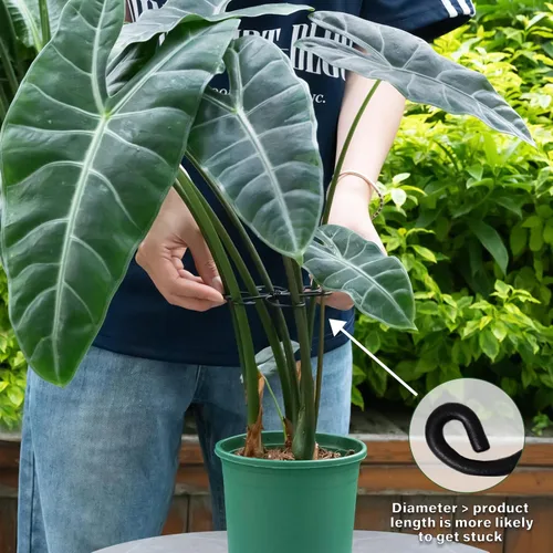 Vista 4 de Yohsnor Monstera - Gancho de soporte para plantas, 4.1 x 4.1 pulgadas, 5 unidades, sistema de soporte de tallo ajustable duradero, protección suave
