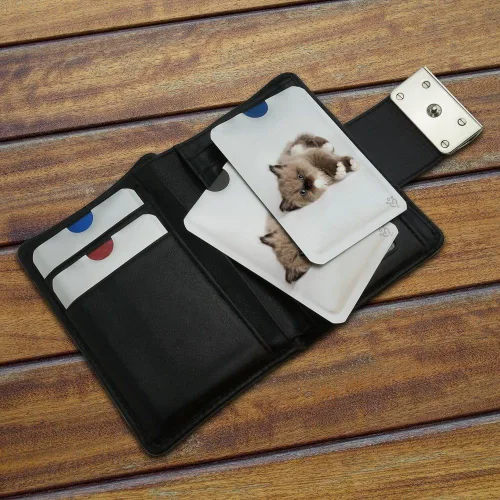 Vista 3 de Miradoll Ragdoll Gatito Gato Marrón Lazy Tarjeta de Crédito RFID Blocker Holder Protector Billetera Monedero Fundas Set de 4