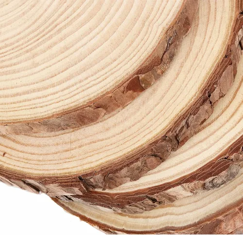 Vista 3 de 6 piezas de rebanadas de madera de 8 a 9 pulgadas, círculo de madera sin terminar de 20 a 9.1 in con corteza de árbol, centros de mesa redondos
