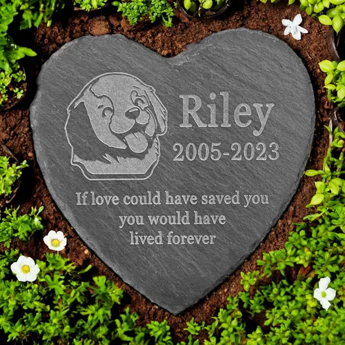 Vista 13 de Memorial personalizado de American Staffordshire Terrier, lápida de American Staffordshire Terrier, condolencias por pérdida de American