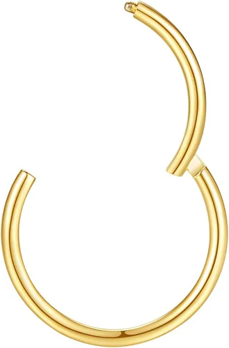 Vista 6 de ORANGELOVE - Aretes hipoalergénicos de acero quirúrgico 316L de 20g, 18g, 16g, 14g, 12g, 10g y 8g, joyería circular abatible para nariz, tabique