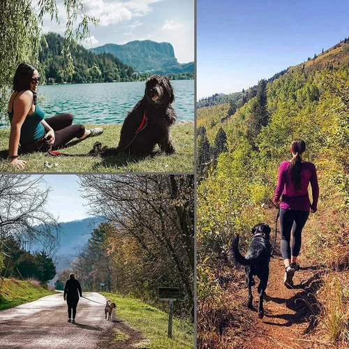 Vista 9 de Correa de perro manos libres para correr, caminar, entrenar, senderismo, correa de cintura duradera de doble asa con elástico reflectante