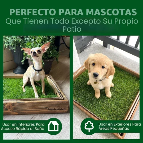 Vista 3 de Fresh Patch Mini parche de césped real para perros, gatos y mascotas pequeñas de menos de 8 libras, almohadillas desechables para orinar