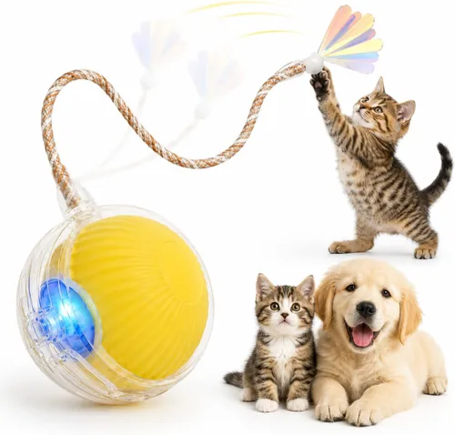 Vista 8 de Pelota de juguete interactiva para gatos con luces LED – Teaser automático recargable USB-C para gatos y gatitos de interior, divertido juguete